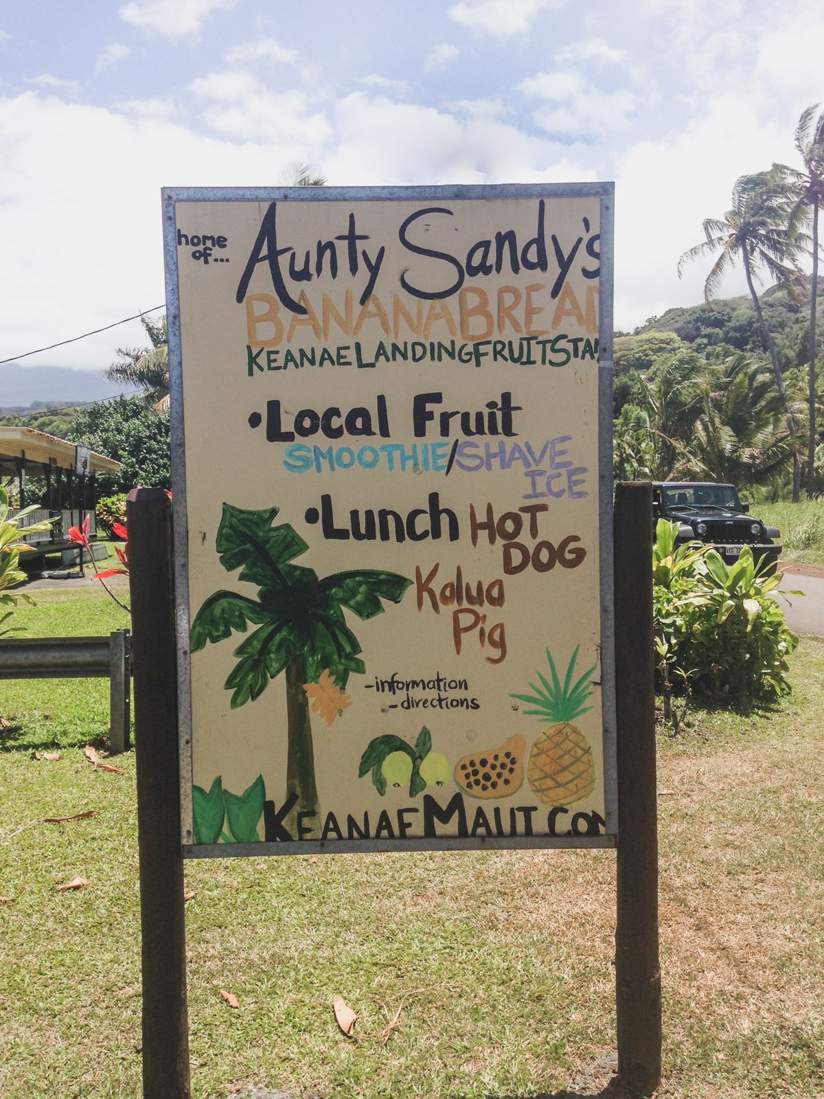 Conquering The Road to Hana