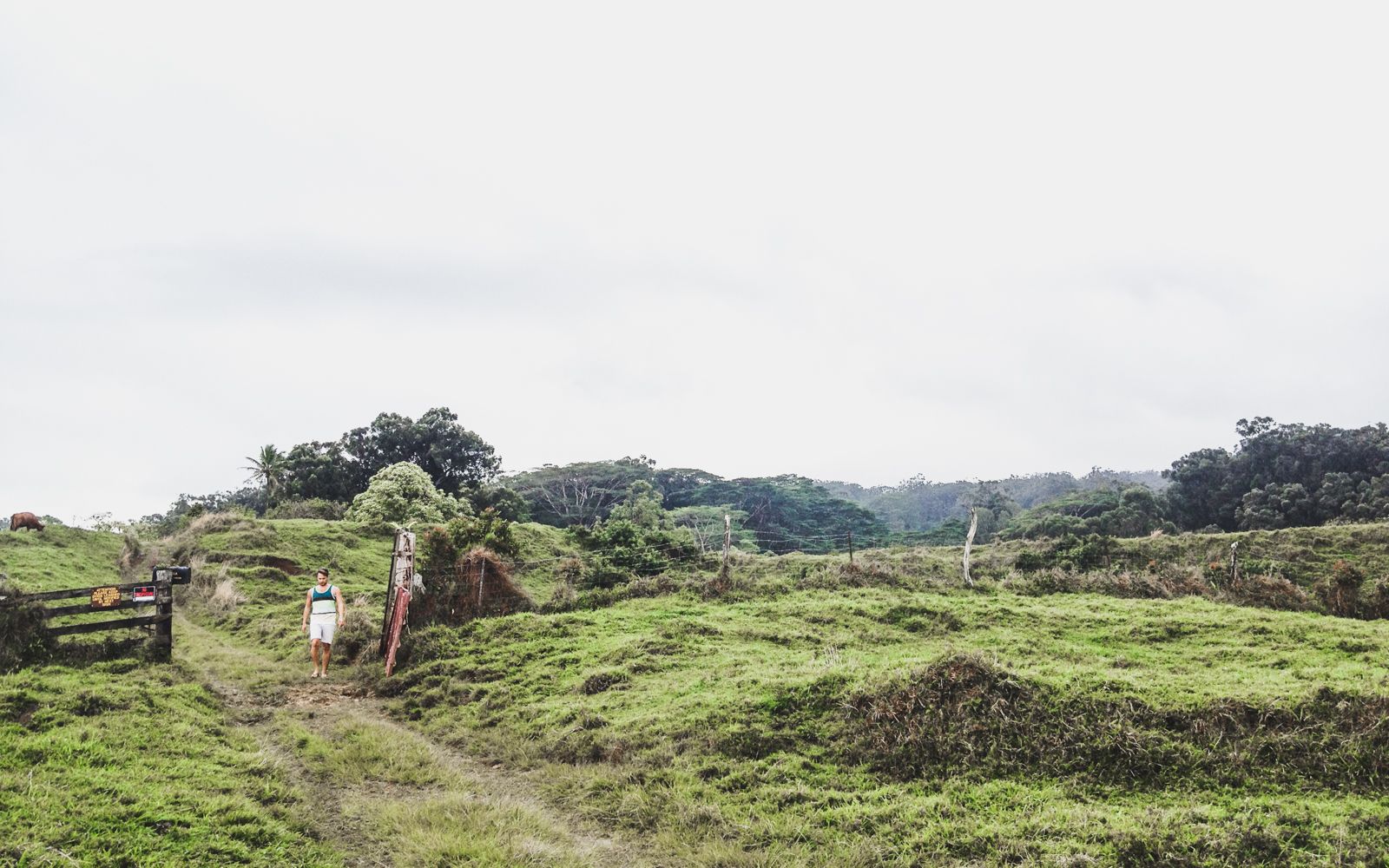 Conquering The Road to Hana