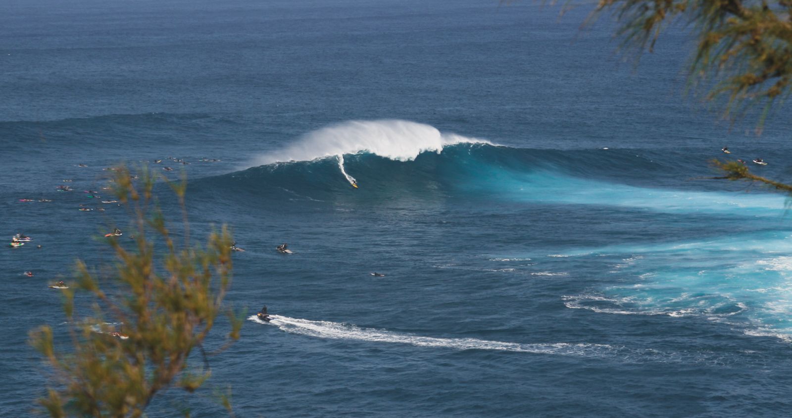 Jaws is going off!