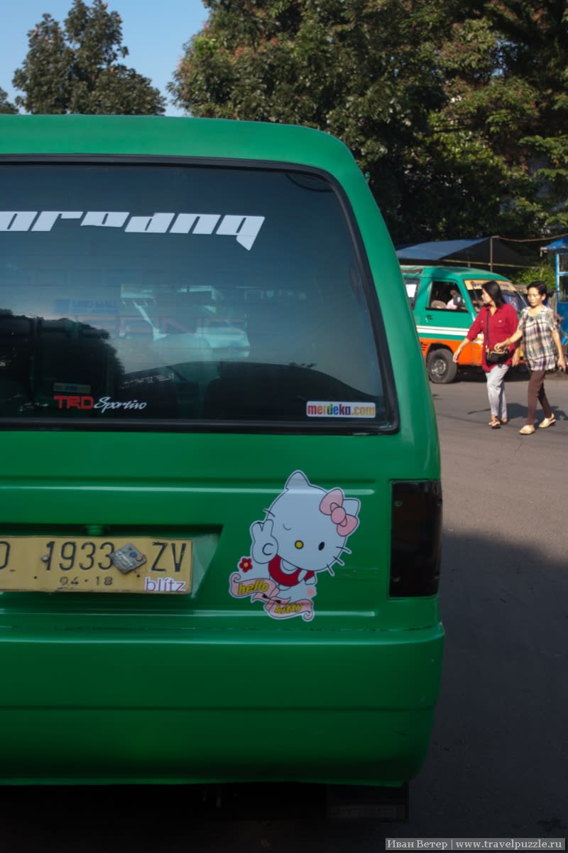 Автобус впереди меня. Милоты много не бывает.;)
