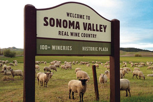 Wine 121 Omaha's Tour The Valley Special