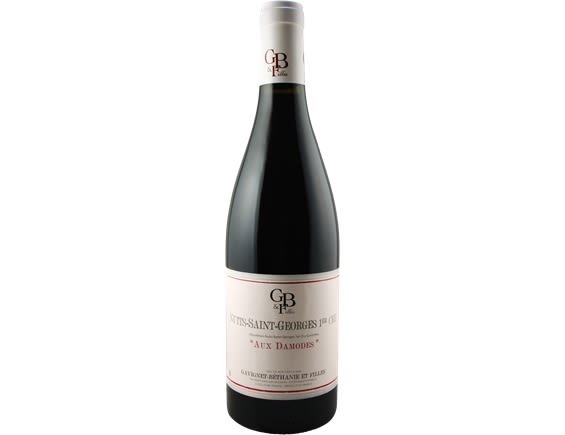 DOMAINE GAVIGNET-BETHANIE ET FILLES NUITS SAINT GEORGES 1ER CRU LES DAMODES ROUGE 2017