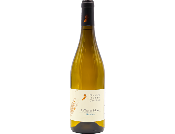 DOMAINE RIERE CADENE COTES CATALANES LA TOUR DE SCHISTE BLANC 2017