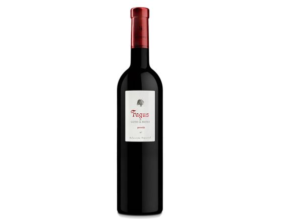 FAGUS DE COTO DE HAYAS ROUGE 2016