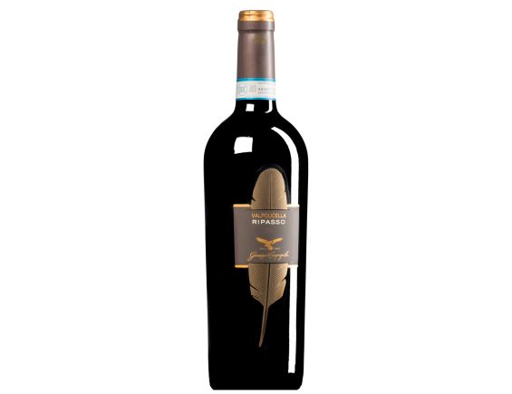 GIUSEPPE CAMPAGNOLA VALPOLICELLA RIPASSO 2019