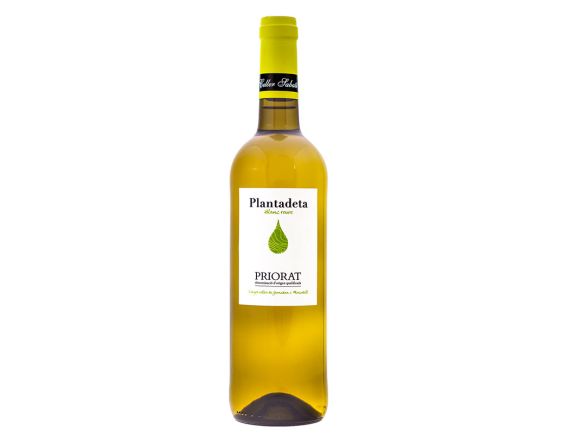 PLANTADETA  ROBLE BLANC 2017