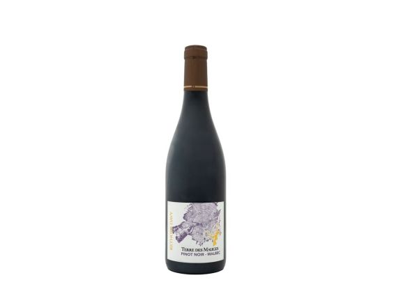 VIGNOBLE RÉTHORÉ DAVY TERRE DES MAUGES VAL DE LOIRE ROUGE 2022