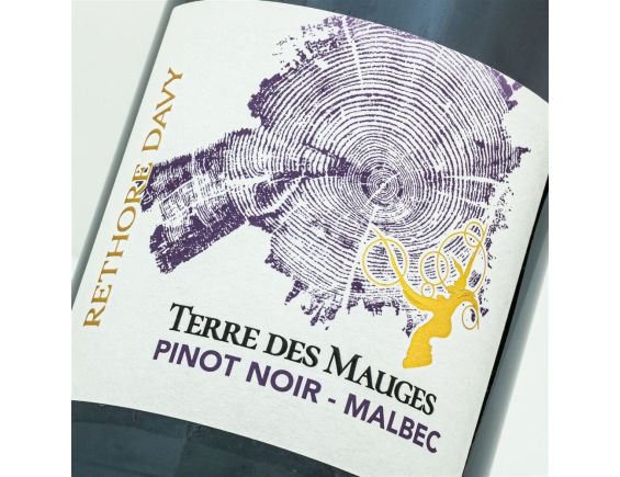 VIGNOBLE RÉTHORÉ DAVY TERRE DES MAUGES VAL DE LOIRE ROUGE 2022