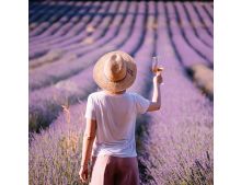 Provence