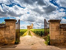 Vins blancs Bourgogne