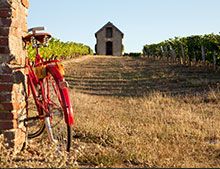 Vins blancs Vallée de la Loire