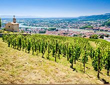 Vins blancs Vallée du Rhône