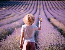 Vins rosés Provence-Alpes-Côte d'Azur