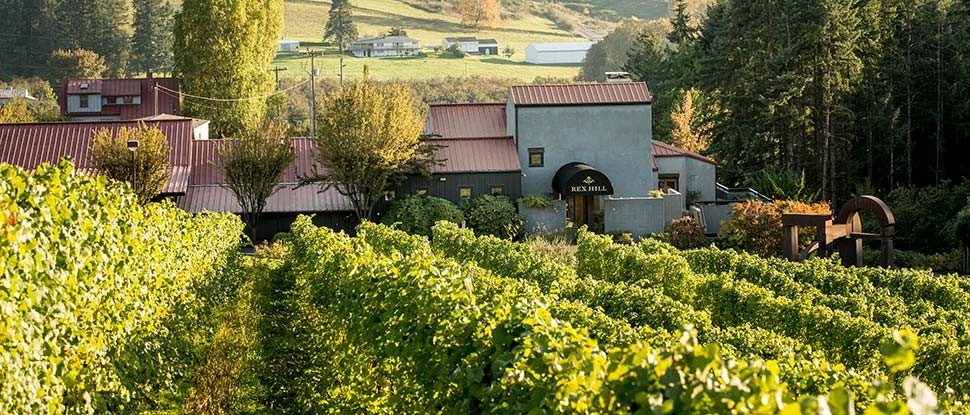 Rex Hill Wine - Learn About \u0026 Buy 