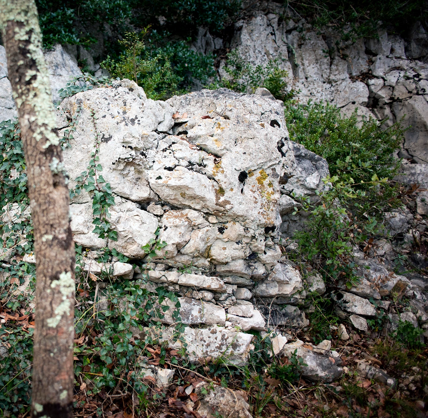 Hidden Sniper In Rocks