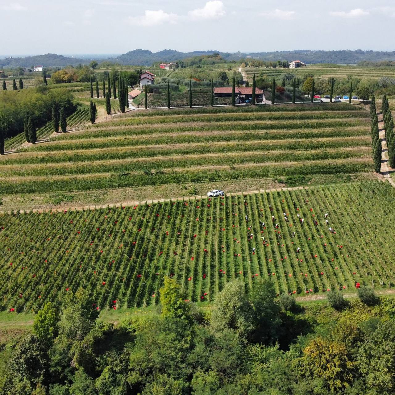 La cantina e i vigneti