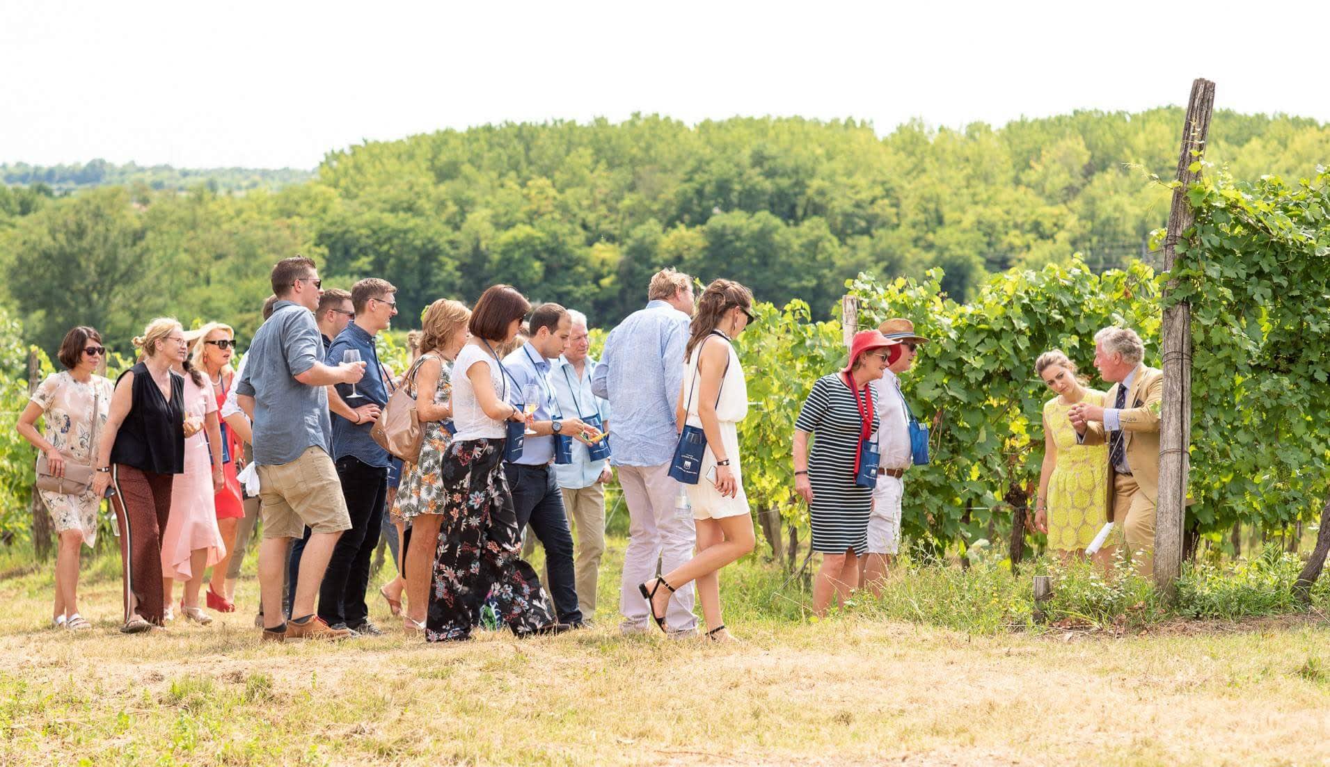 Visita in cantina con degustazione