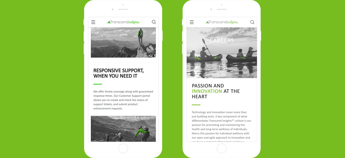 Transcend Insights responsive design