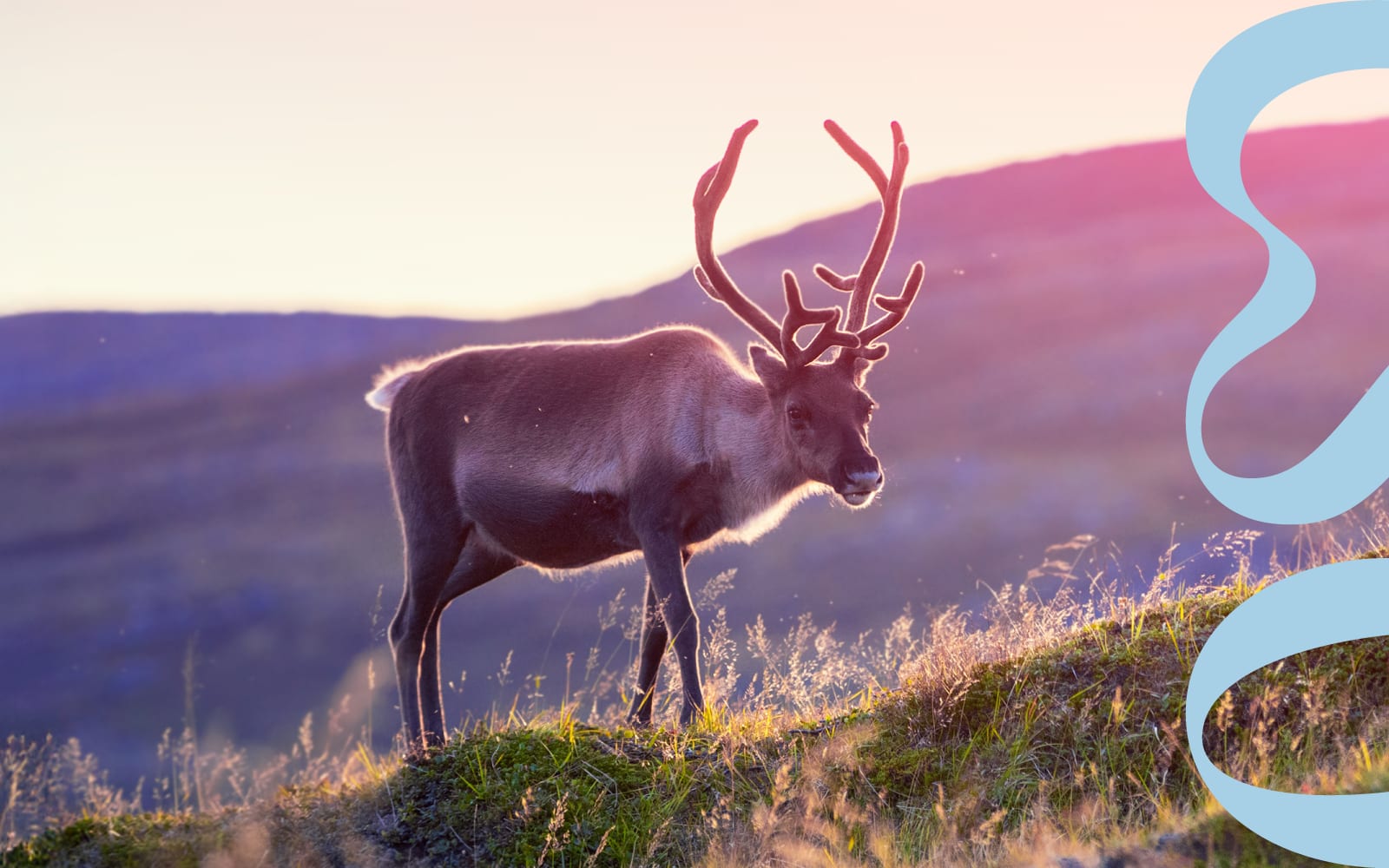 Grieg's Peer Gynt concert image