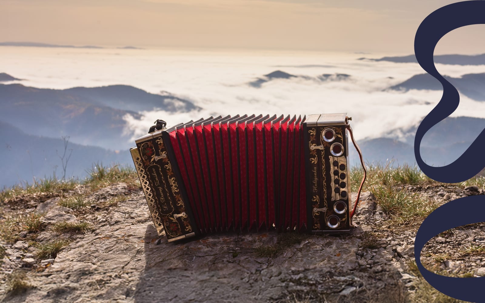 Orchestra & Accordion concert image