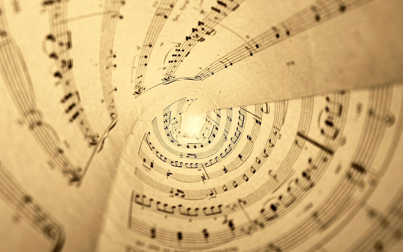 DEMYSTIFYING THE PROGRAM