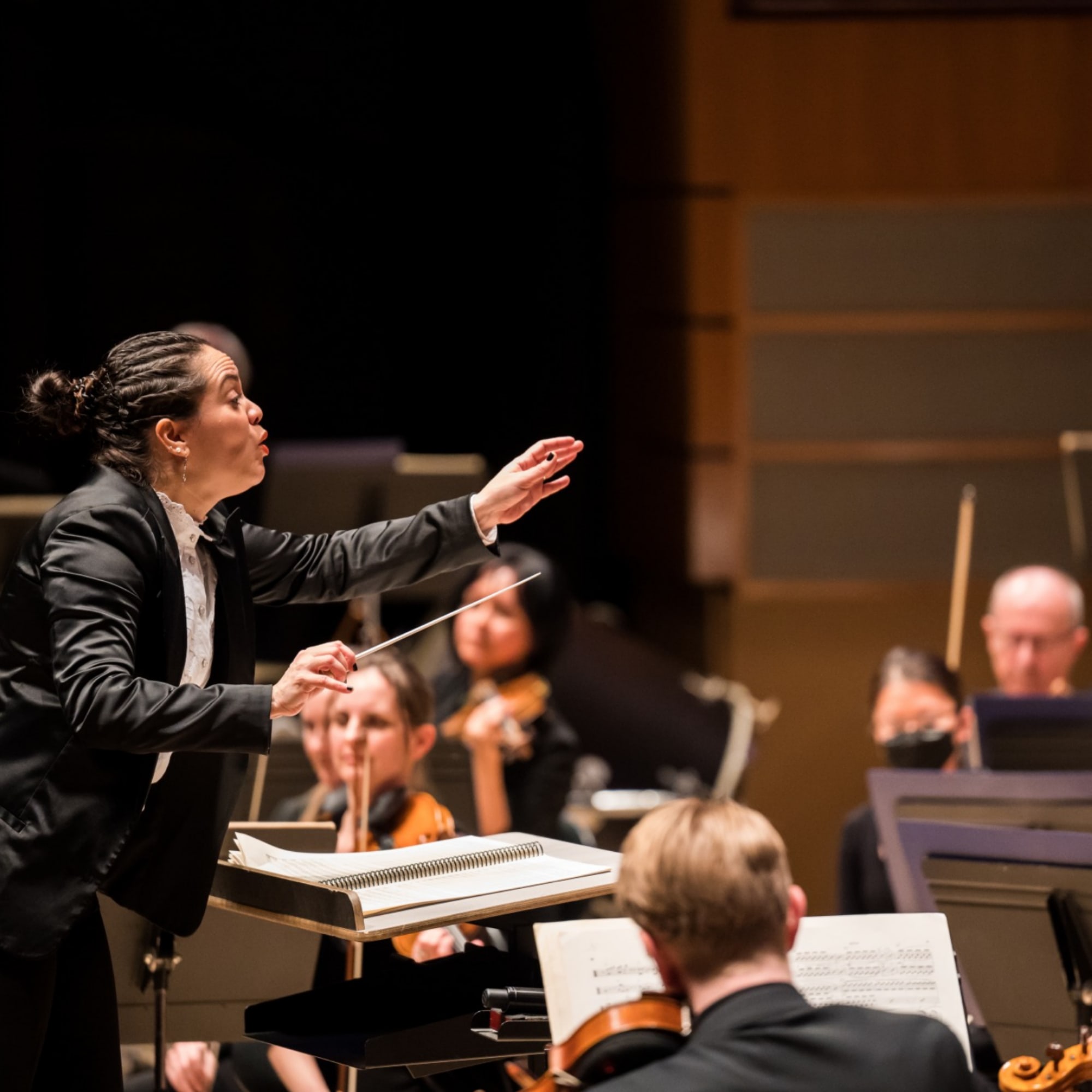 An ESO Conductor Conducting a Concert