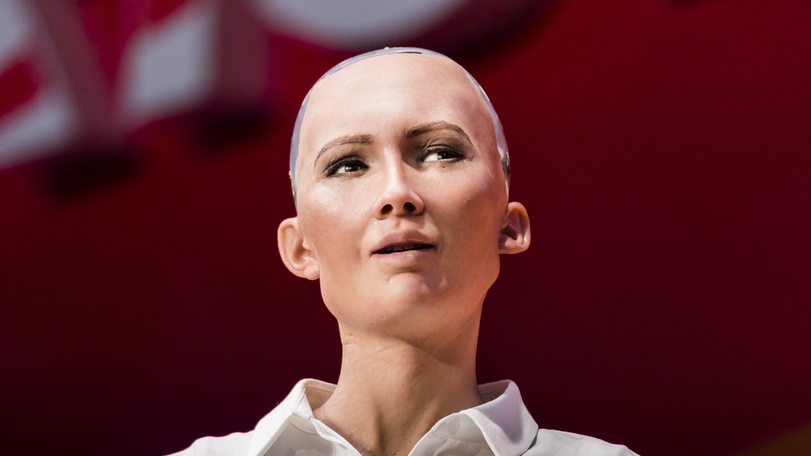 Humanoid robot Sophia wants to start a family because it's a 'really ...