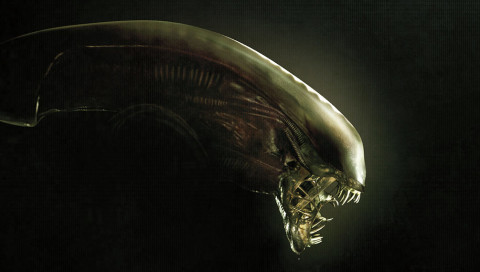 Wie politisch wird der neue „Alien“-Film?