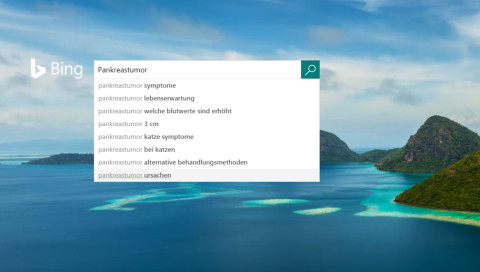 Microsoft-Studie: Bing-Suchanfragen könnten bei der Krebsfrüherkennung helfen