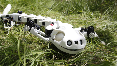 Dieser Salamander-Roboter kriecht für die Medizin