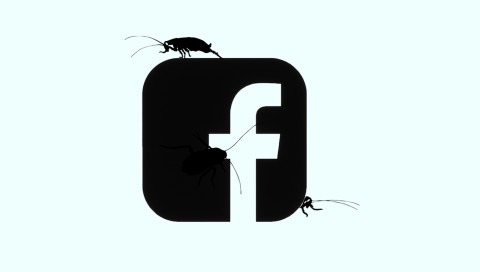 Facebook-Bug öffnete Telefonnummern für Firmen