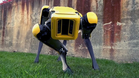 Forscher trainieren Roboter jetzt mit Hundevideos