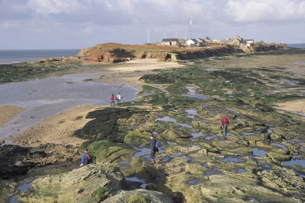 Hilbre Island | Wirral Council