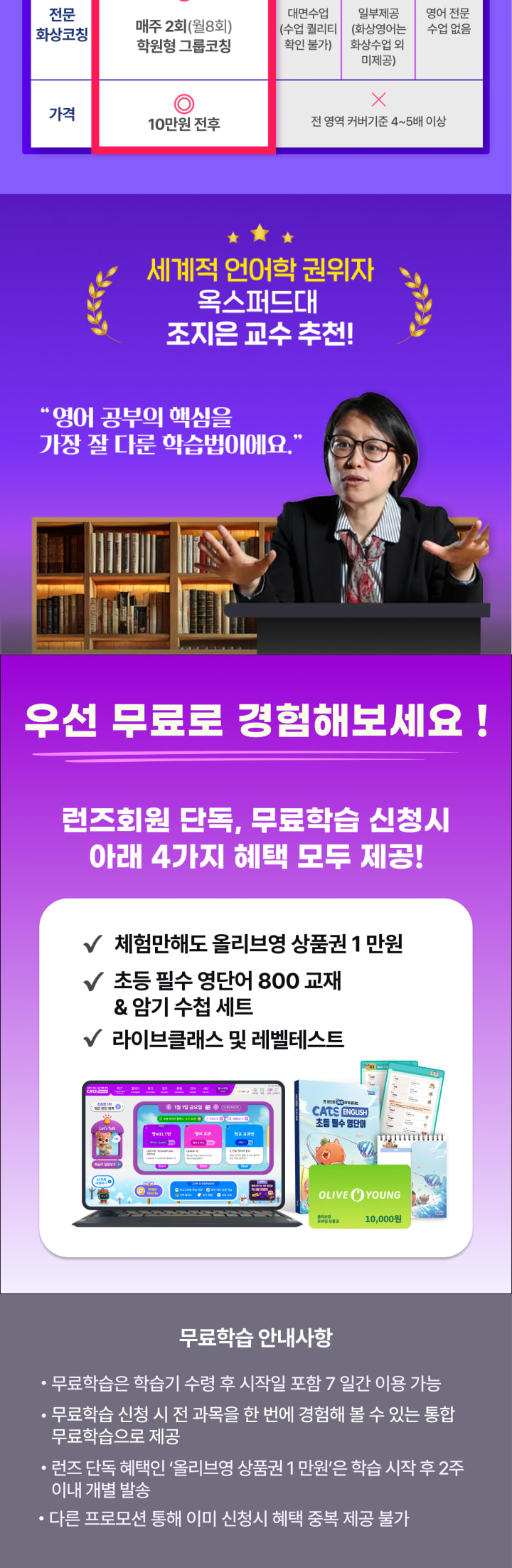 캐츠잉글리시 설명5
