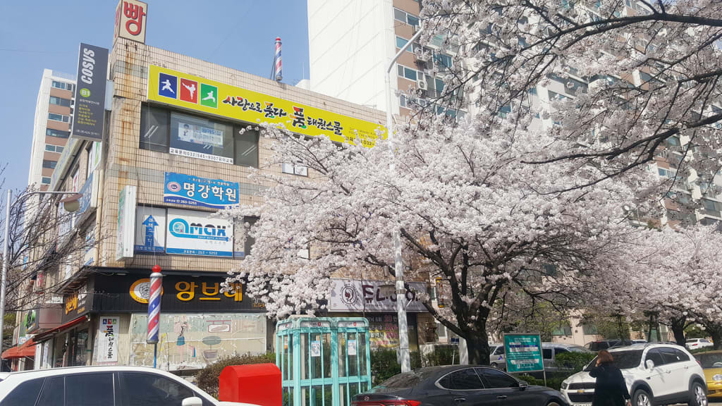 학원 이미지