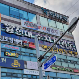 용인대 수지 태권도 대표사진