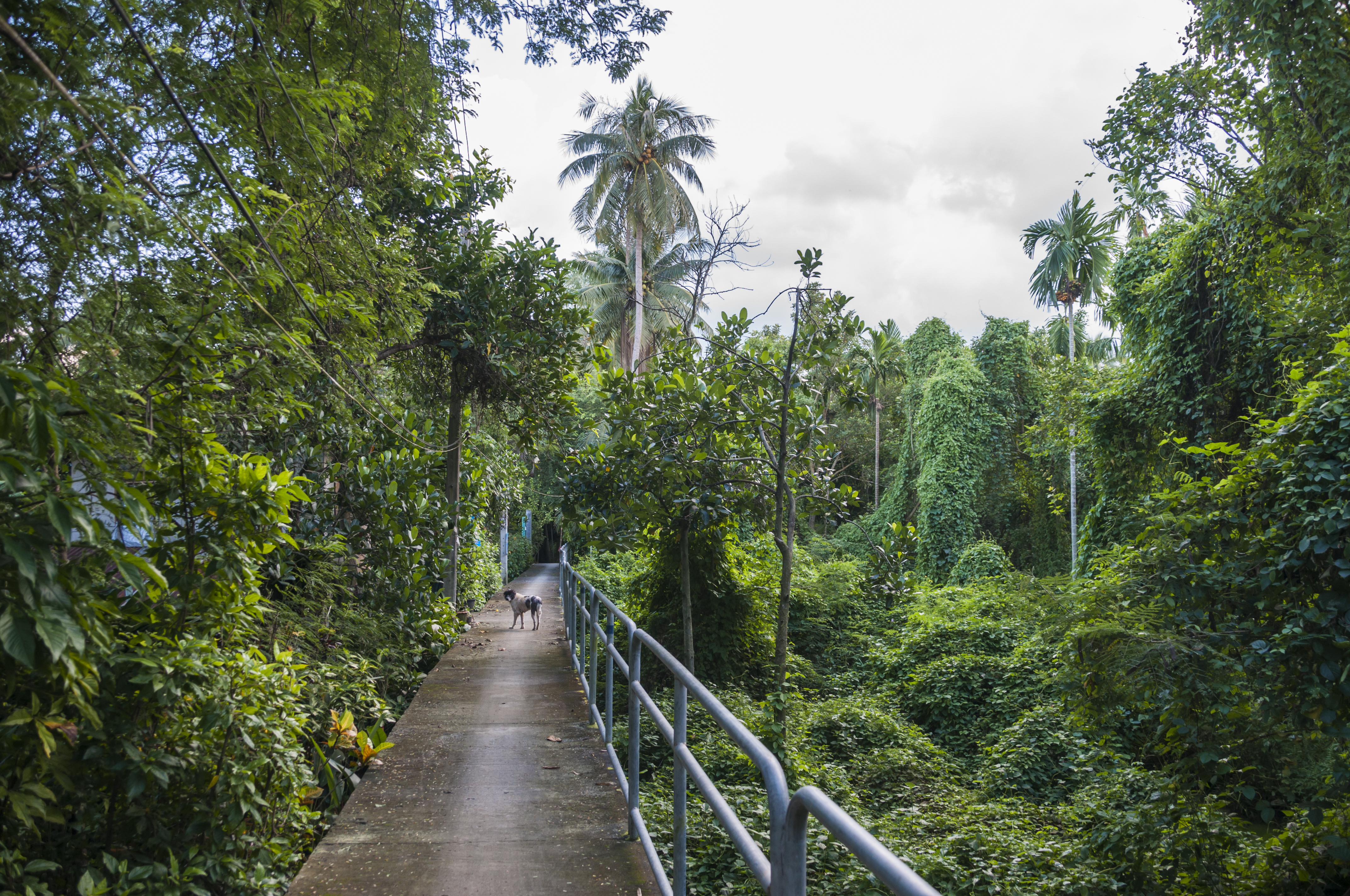 Sri Nakhon Khuean Khan Park And Botanical Garden