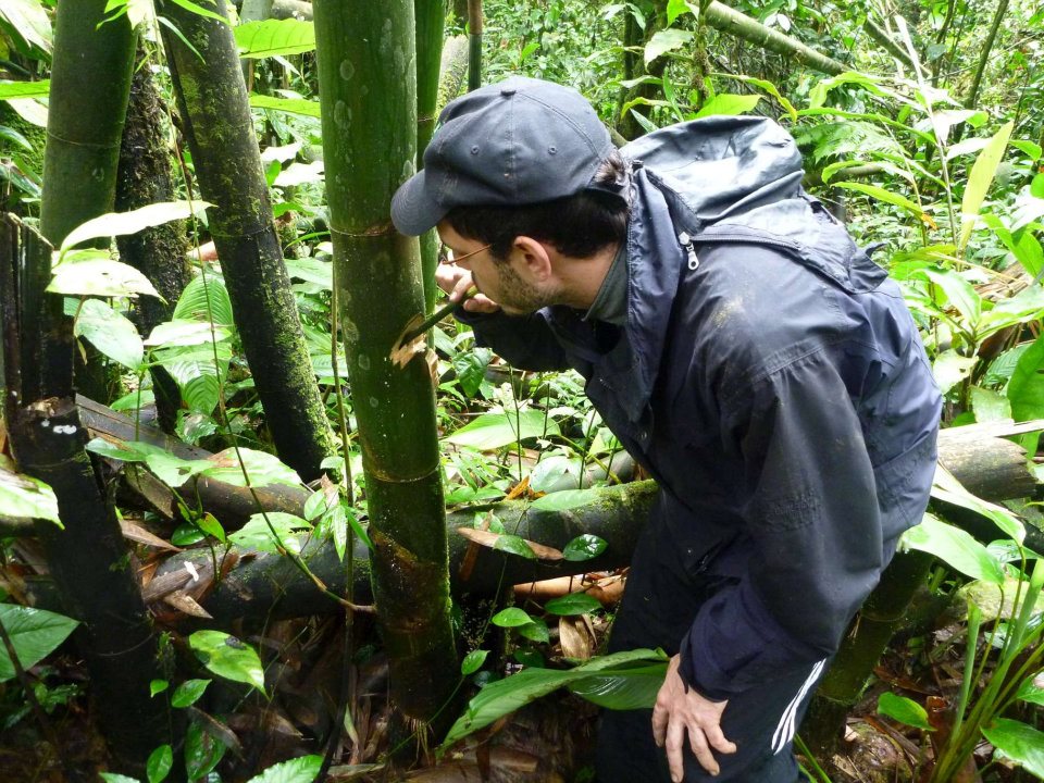 Practice your Jungle Survival Skills in Ranau