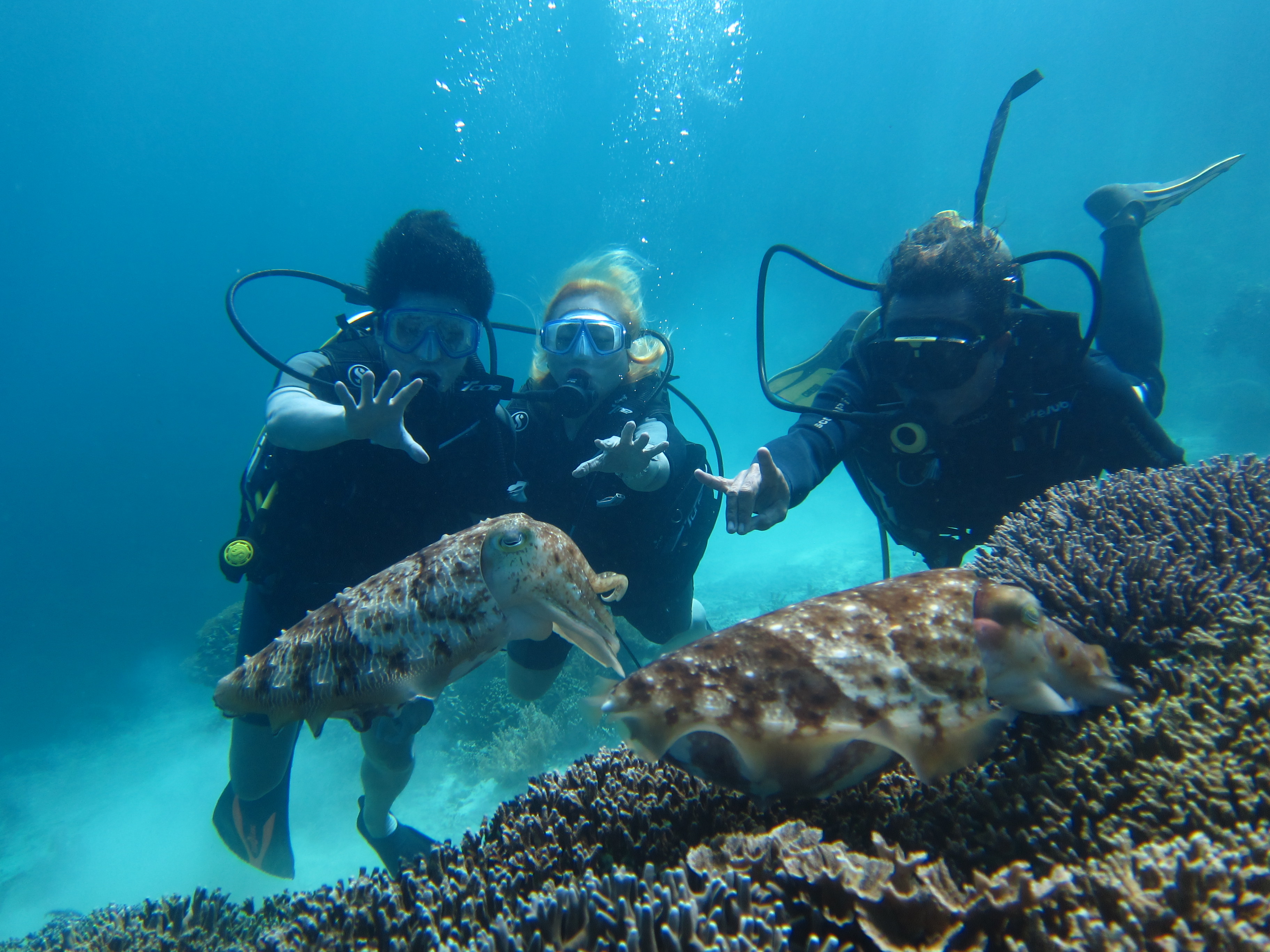 Scuba Diving Menjangan Island in Gerokgak - Withlocals.com