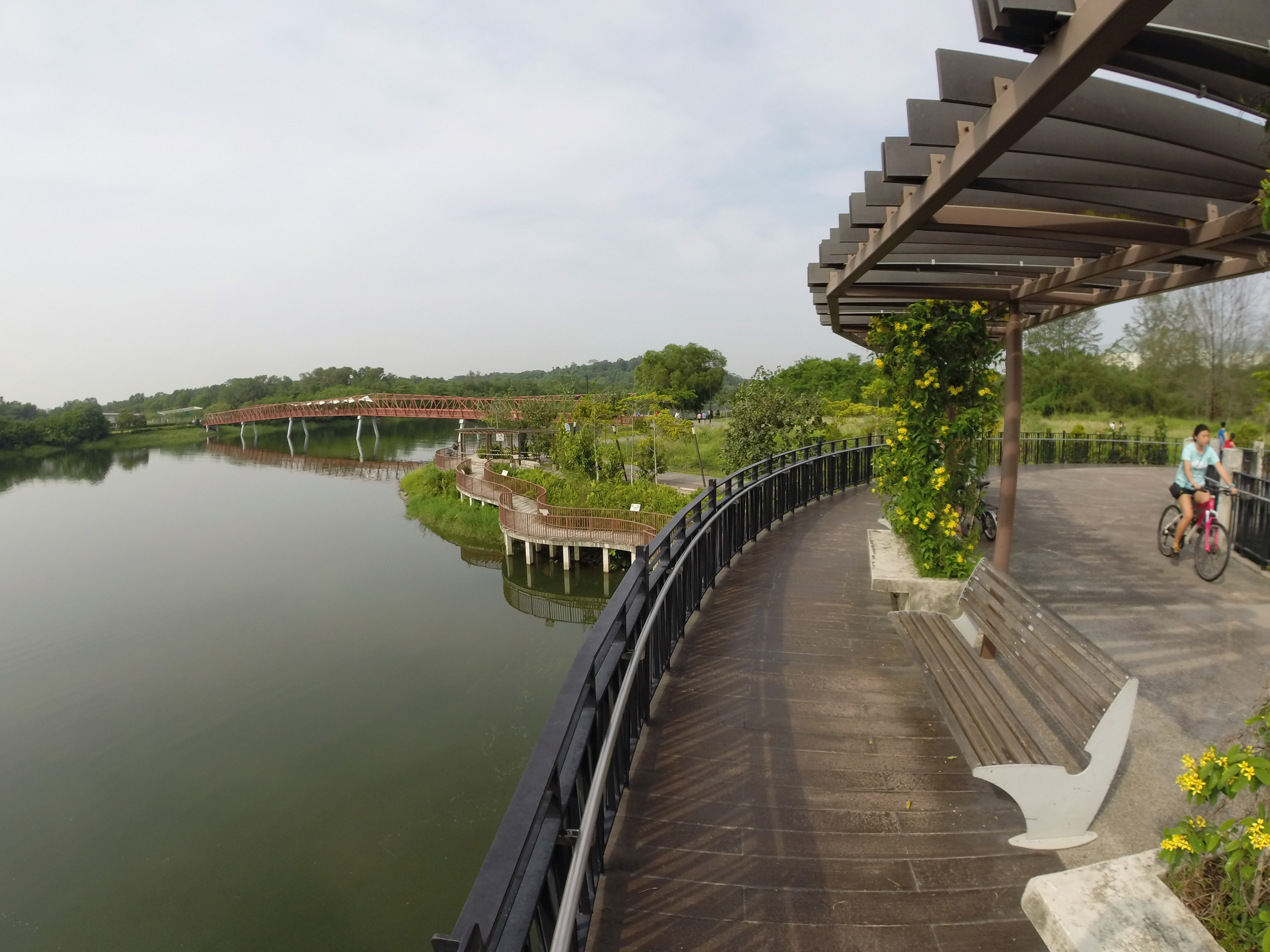 Bike tours - Non-tourist spots! in Singapore - Withlocals.com