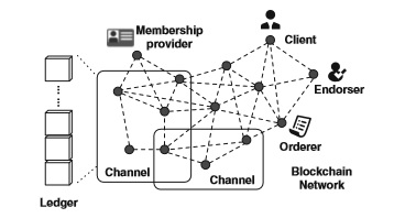 Typical architecture of BCT solutions