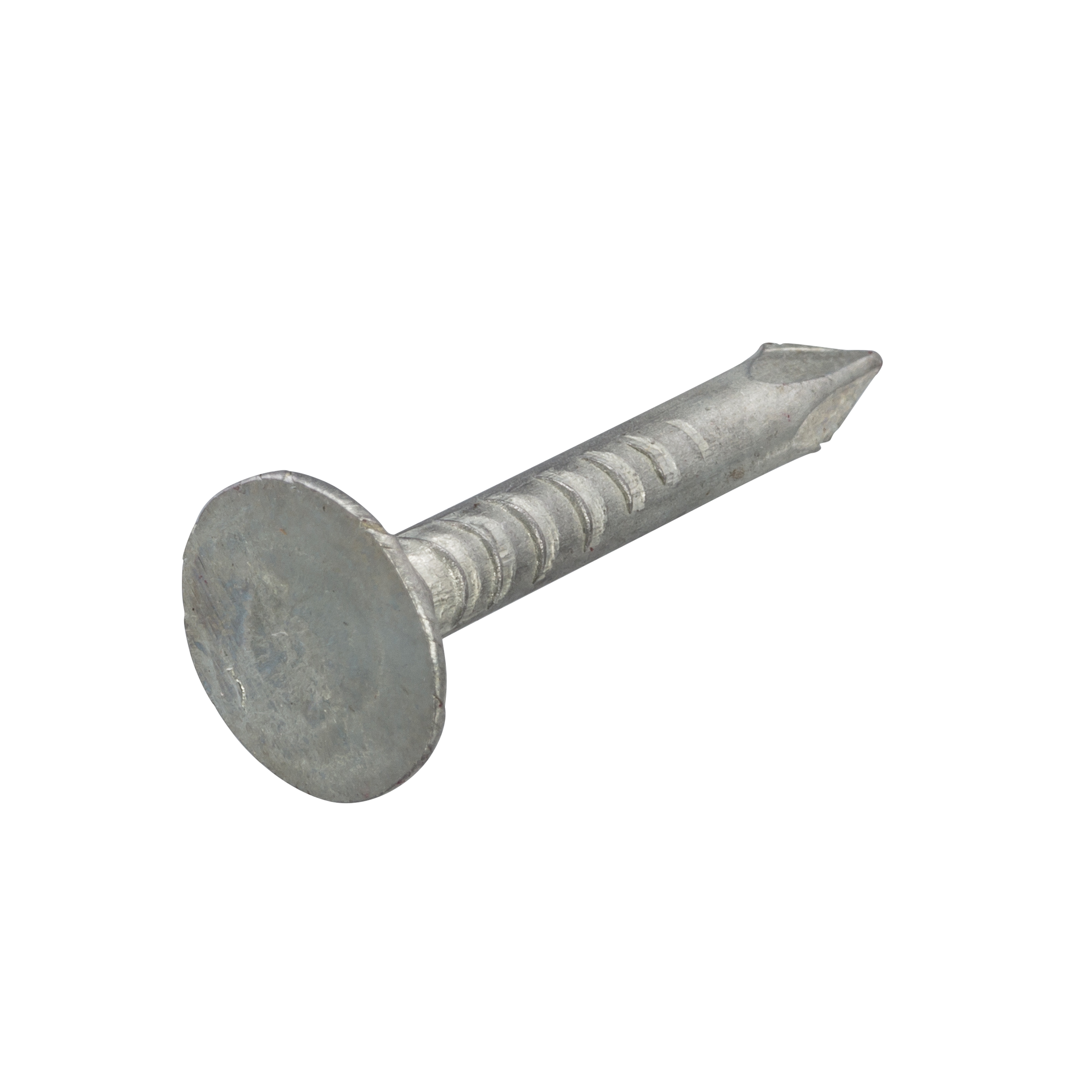Proftec Asfaltnagel PK 3,0x20 mm verzinkt 1 kg