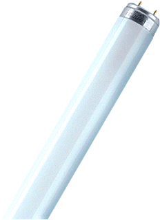 Osram TL-buis lumilux 36 Watt helder wit