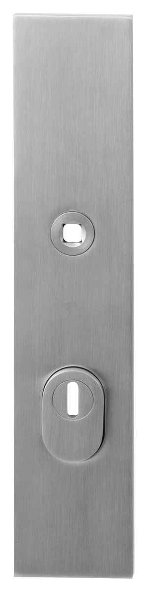 TH vh buitenschild PC72 248x52x11mm RVS geborsteld rechthoekig SKG3
