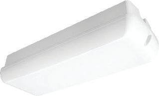 Led plafond/-wandarmatuur opaal klasse II IP65