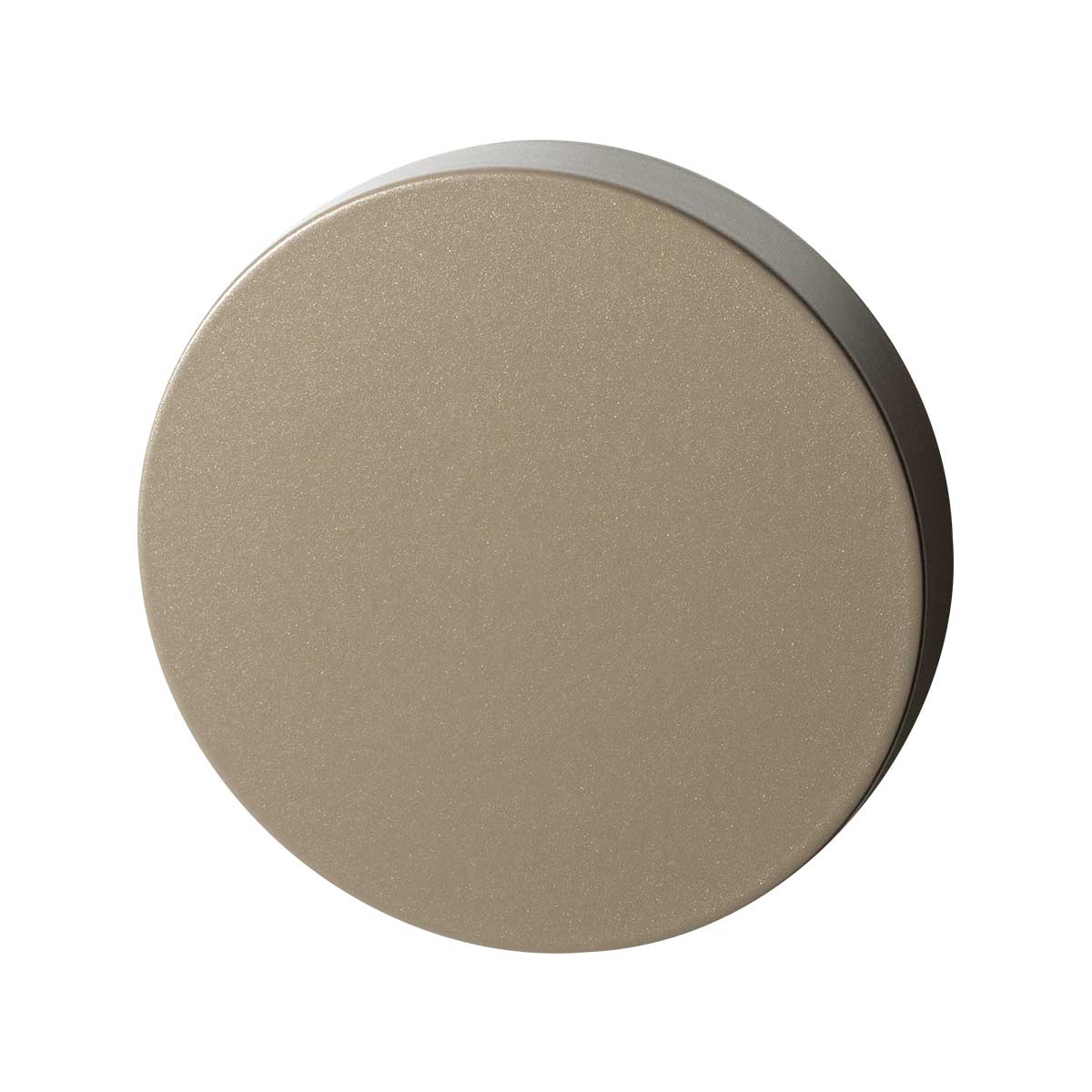 TH blinde ronde rozet 50x8 mm Champagne blend