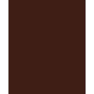 ICA RAKO mat bruin 25x33 wt WAAKB109