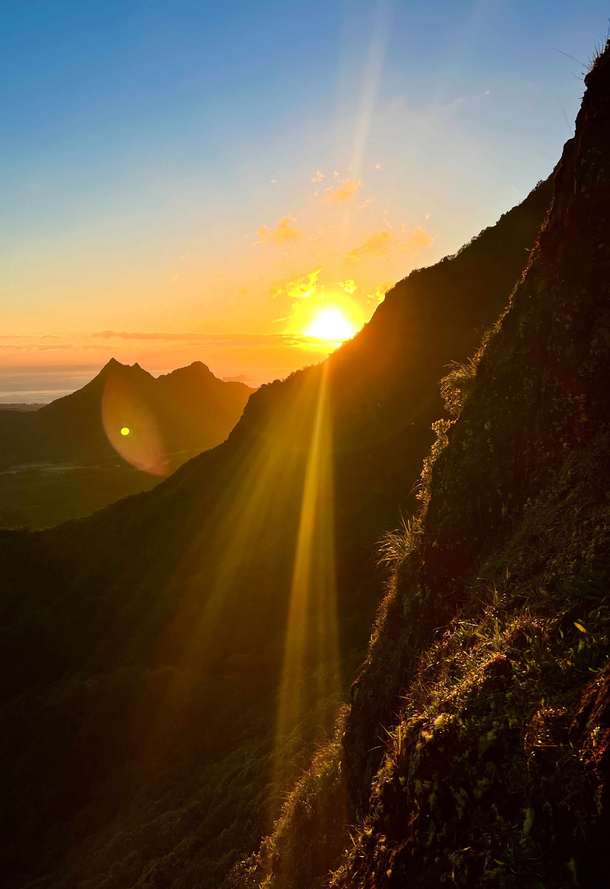 A Hawaiian landscape
