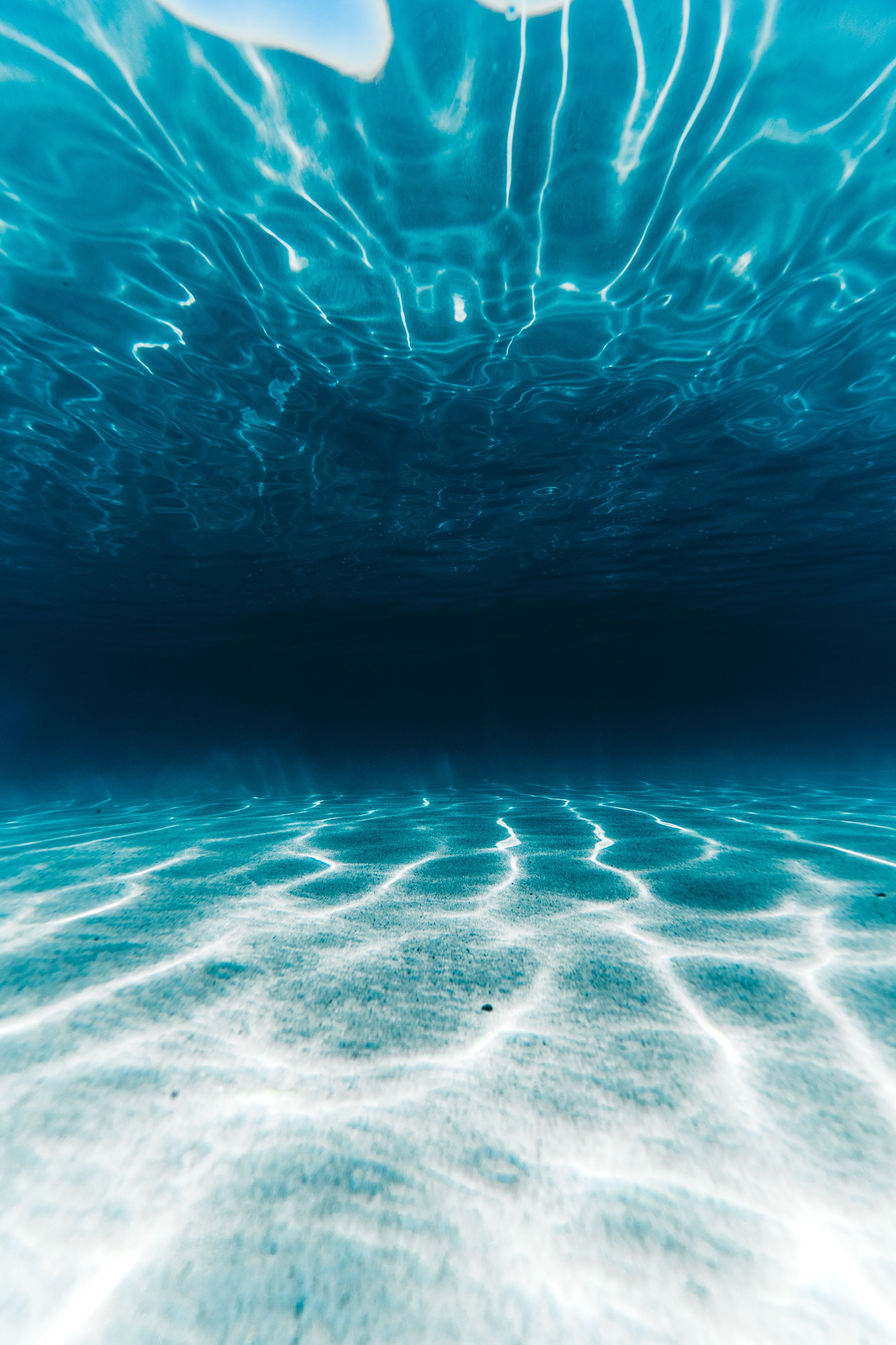 Underwater view looking up toward sunlight breaking the surface