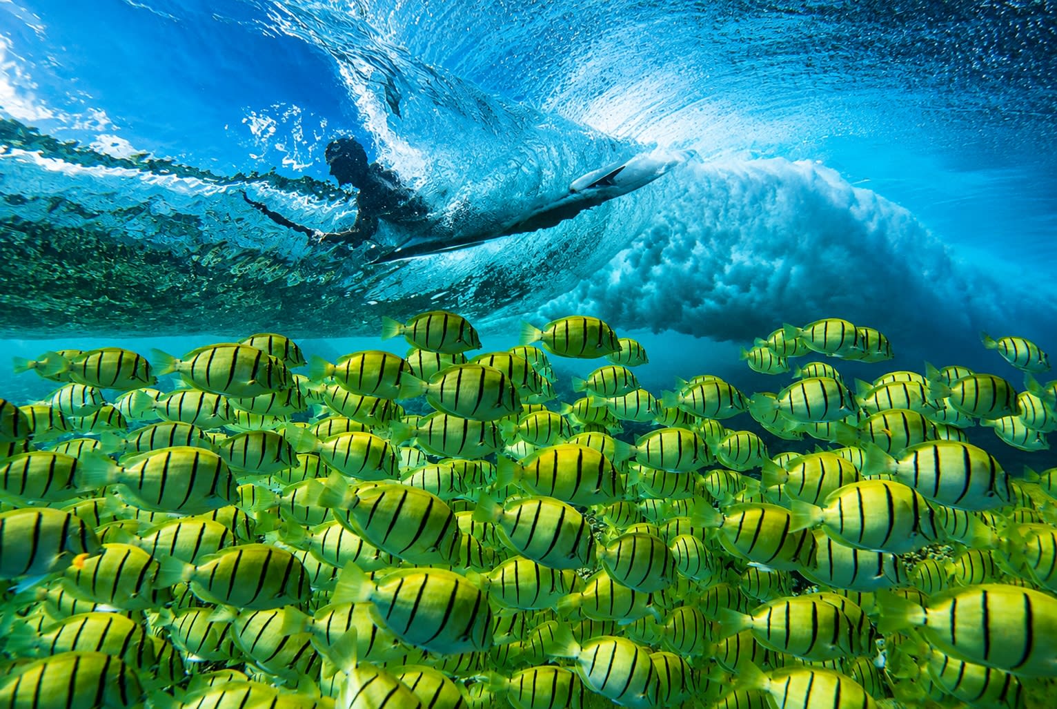 A Hawaiian landscape